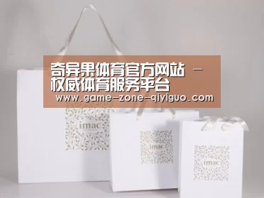 项目名称十一
