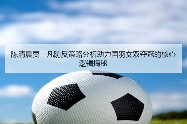 陈清晨贾一凡防反策略分析助力国羽女双夺冠的核心逻辑揭秘